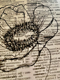 FLOWER - Poppy Illustration - ART