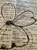 FLOWER - Dogwood Illustration - ART