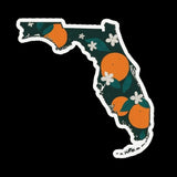 Florida vinyl sticker FL
