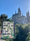 HARRY POTTER "I am what I am an' I'm not ashamed" - ART