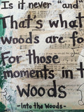 INTO THE WOODS "That's what woods are for" - ART