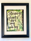 LITTLE SHOP OF HORRORS "Strange plants are my hobby" - ART