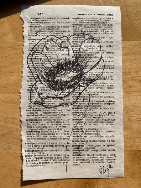 FLOWER - Poppy Illustration - ART PRINT