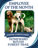Custom employee of the month pet Sticker