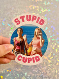 Stupid Cupid vinyl sticker Princess Diaries Mandy Moore cute funny decal gift song Valentine's Day laptop journal notebook present nerd