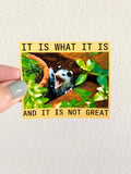 Possum snarky vinyl sticker it is what it is