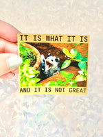 Possum snarky vinyl sticker it is what it is