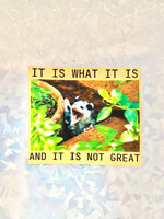 Possum snarky vinyl sticker it is what it is