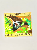 Possum snarky vinyl sticker it is what it is