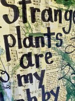 LITTLE SHOP OF HORRORS "Strange plants are my hobby" - ART