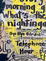 BYE BYE BIRDIE "What's the story morning glory, what's the tale nightingale?" - CANVAS